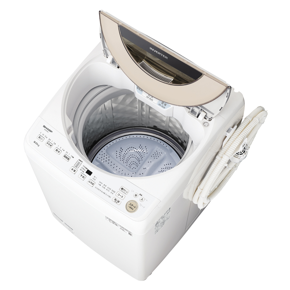 シャープ SHARP 全自動洗濯機 洗濯10.0kg 穴なし槽 ES-GV10H-S